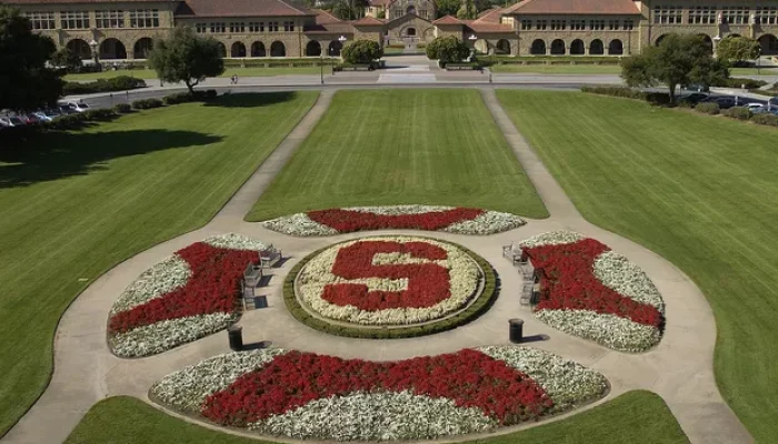 Universidade de Stanford abre inscrições para bolsa de estudos; saiba como se inscrever